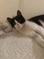 /album/268/whatsapp-image-2026-04-28-at-18-59-52-jpeg/